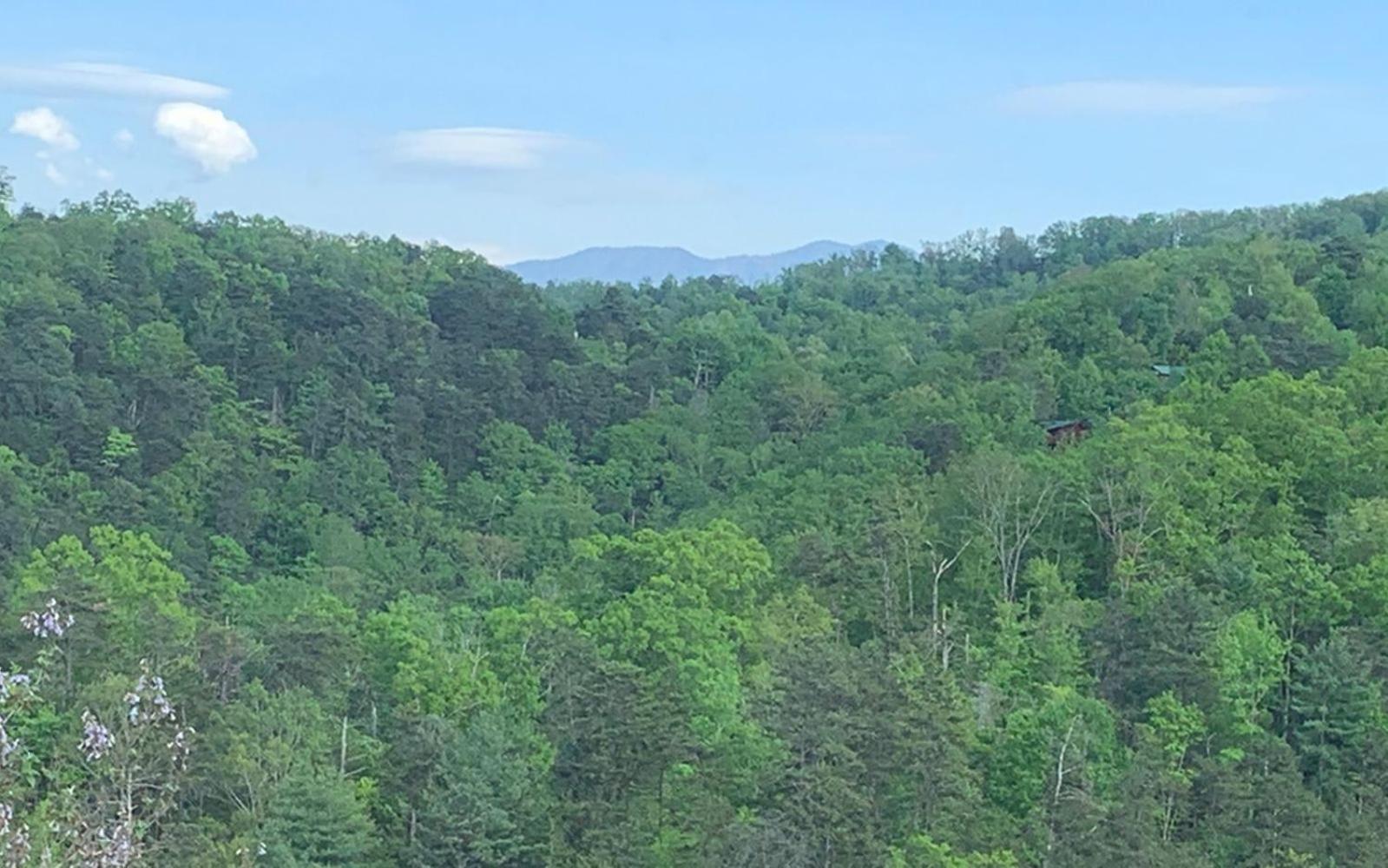 Villa Bella Vista Pigeon Forge Esterno foto
